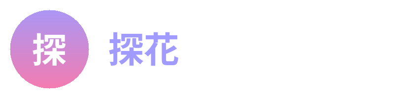 探花